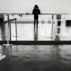 _DSC0422