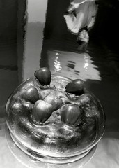 _DSC0365