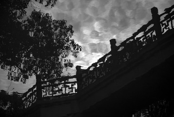DSC_1076-3