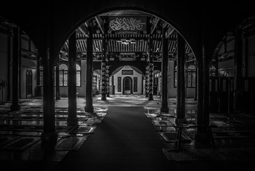 DSC_5685-3