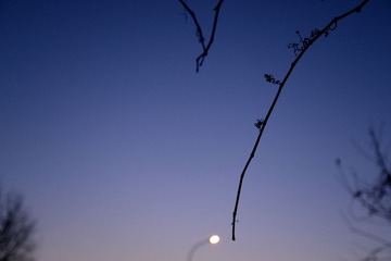 DSC_0791_hq
