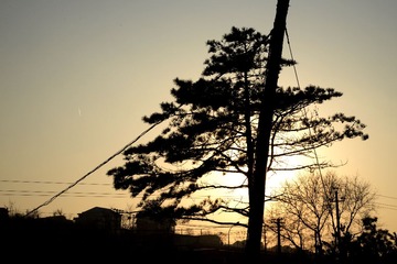 DSC_0695_hq