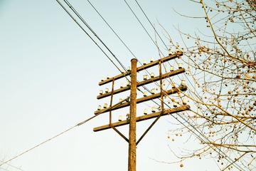 DSC_0692_hq