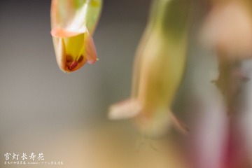 DSC_3697_o