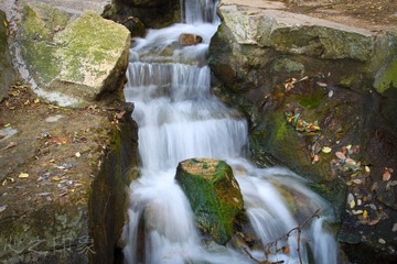 IMG_5598-2.jpg