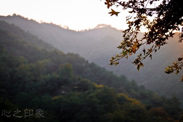 IMG_5558.jpg