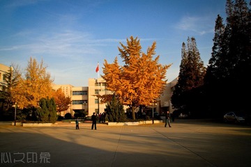 IMG_7413.jpg