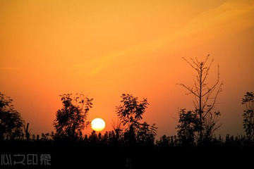 IMG_7494.jpg