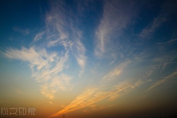 IMG_7515.jpg
