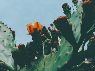 DD42F140-8D0D-4583-81EE-FFB95F8E2BB1/L0/001