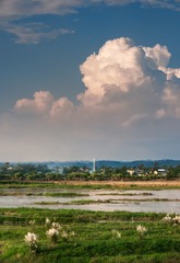 水乡