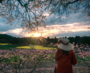 夕阳山外山