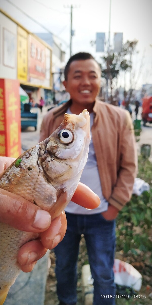 罗非鱼在云南西双版纳很受欢迎!
