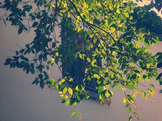 dscn0163_