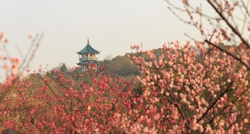 IMG_1955-1