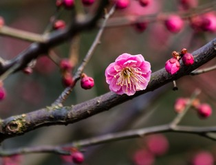 IMG_2117-1