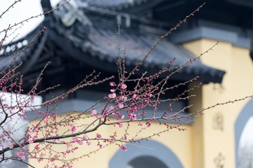 IMG_2304-1