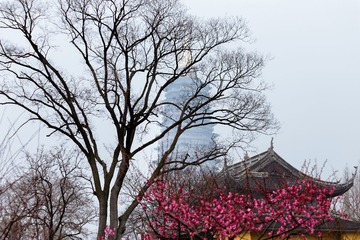 IMG_2309-1