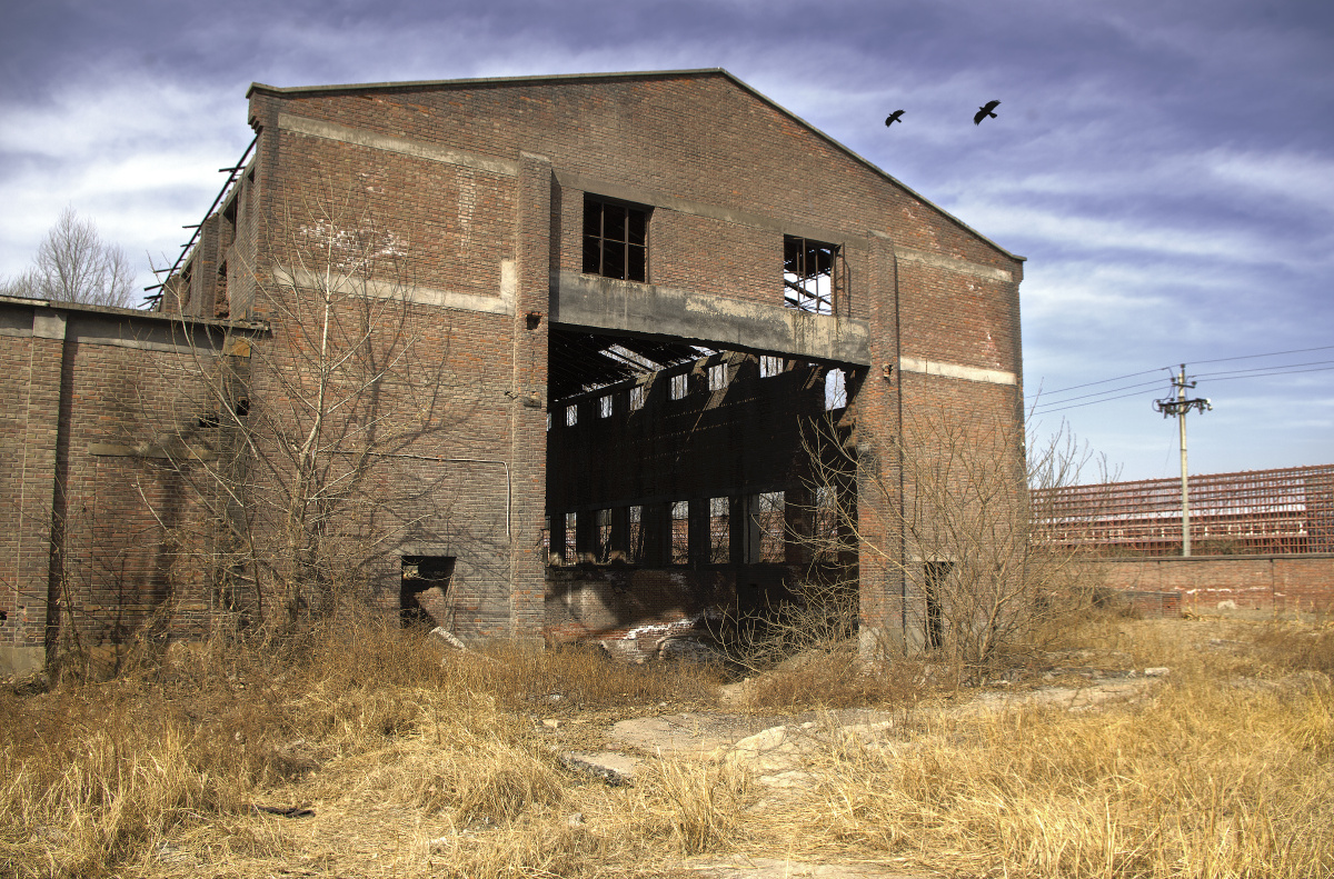 废- aa康康 - 图虫网 - 最好的摄影师都在这