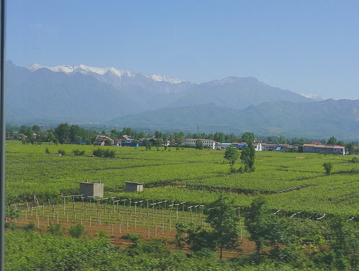 夏虫不可语冰 - 手机, VSCO - 祈福咒逐 - 图虫摄