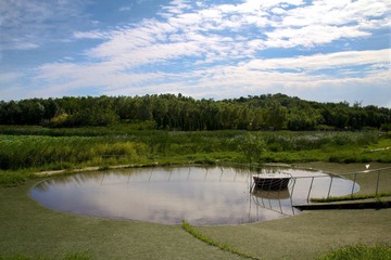 IMG_8104.jpg