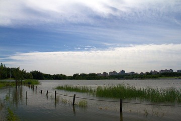 IMG_8193.jpg