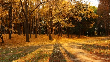 IMG_0687(1)_