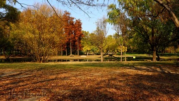 IMG_0497(1)_