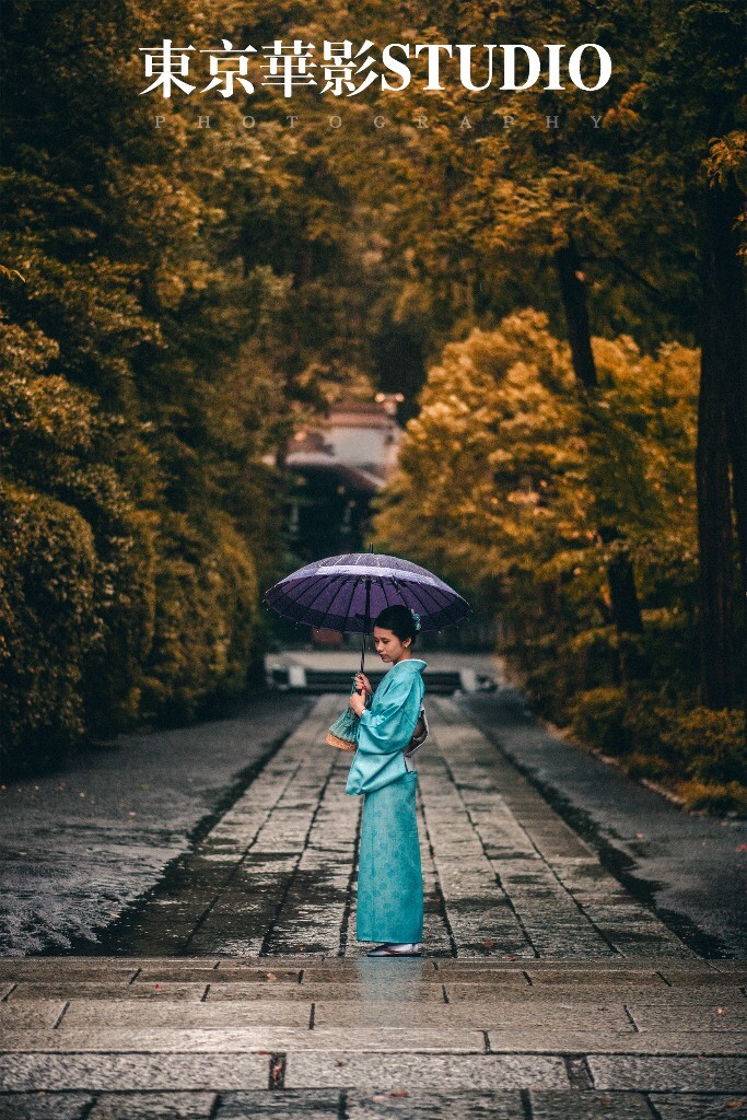 于镰仓八幡宫。