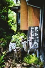 image-35