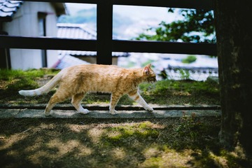 image-39