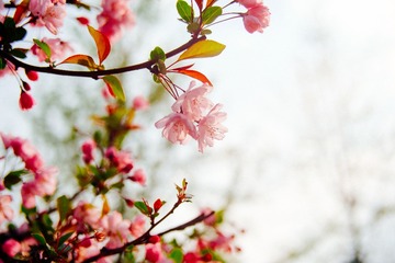 “DSCF1764”为智能对象-1
