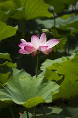 “DSC01120”为智能对象-1