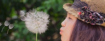 吹