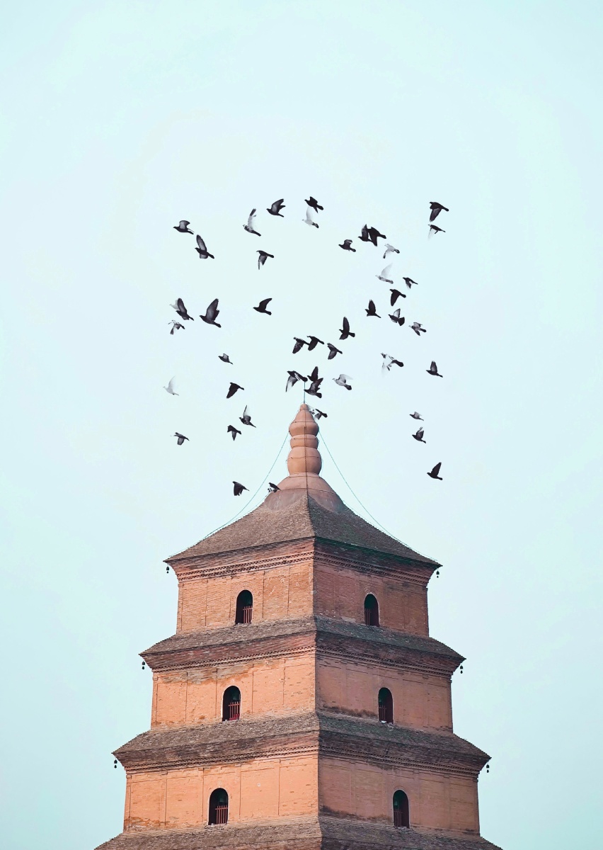 今日白天的大雁塔,好像真的有大雁 - 恩格尔家的小吃货 - 图虫