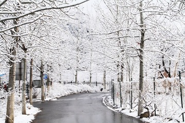 IMG_2682.JPG