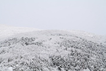 IMG_2683.JPG