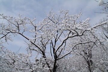 IMG_2708.JPG