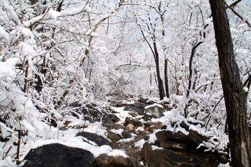 IMG_2732.JPG