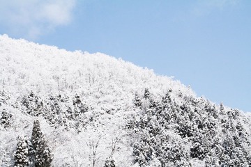 IMG_2758.JPG