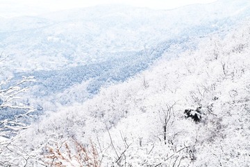 IMG_2763.JPG
