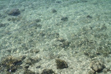 IMG_4297.JPG