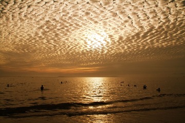 IMG_3817.JPG