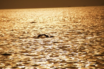 IMG_3819.JPG