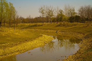 一条大河