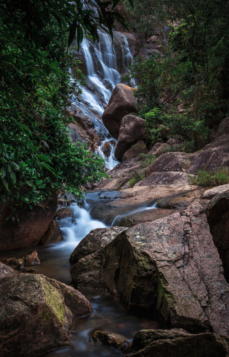 拍摄于五桂山 注