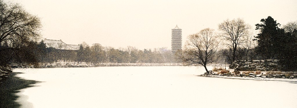 未名初雪,水墨黑白。