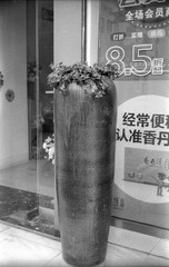1504869