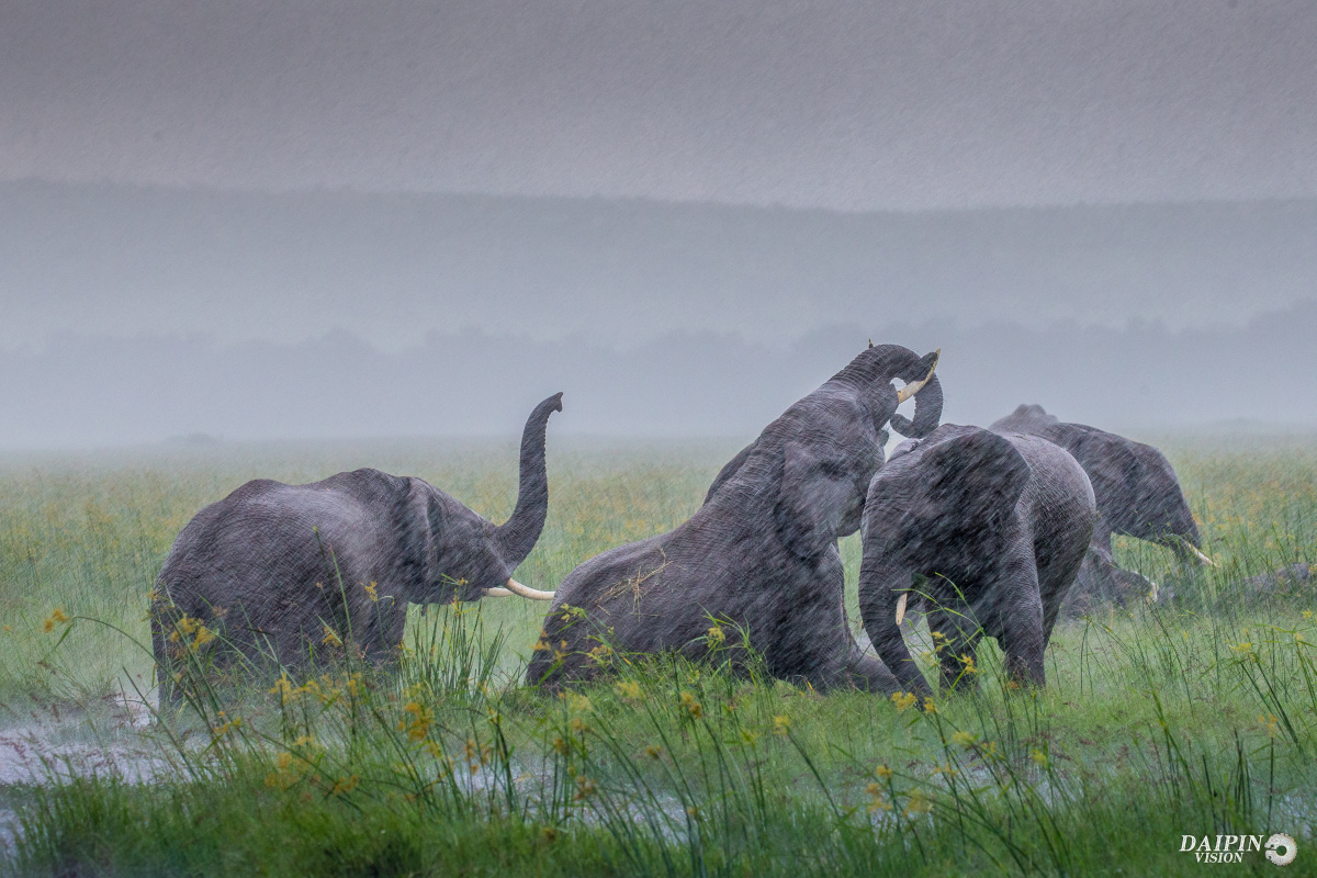 蛰伏的蛇705 - 图虫