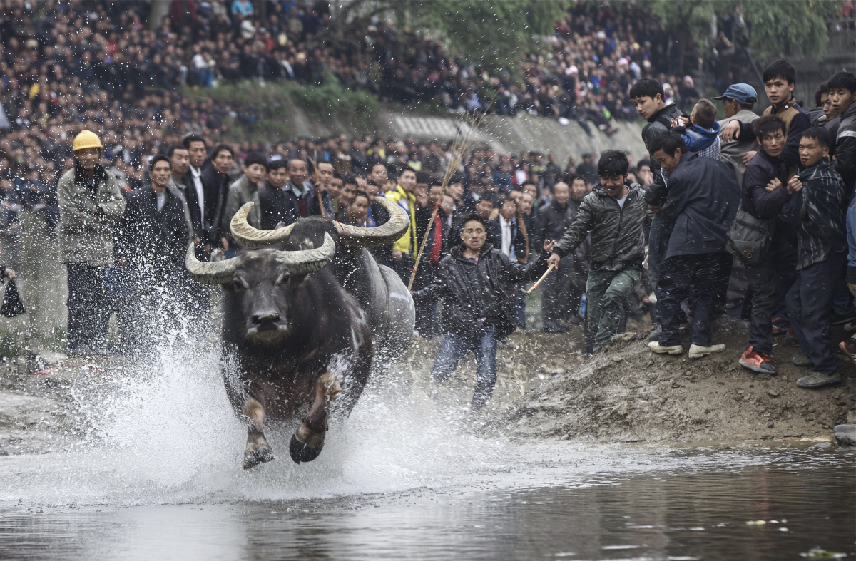 突围- 磨桂宾 - 图虫网 - 优质摄影师交流社区